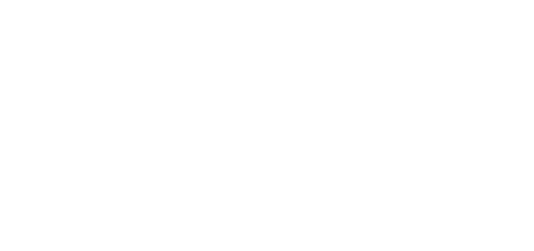 Netsafe Logo
